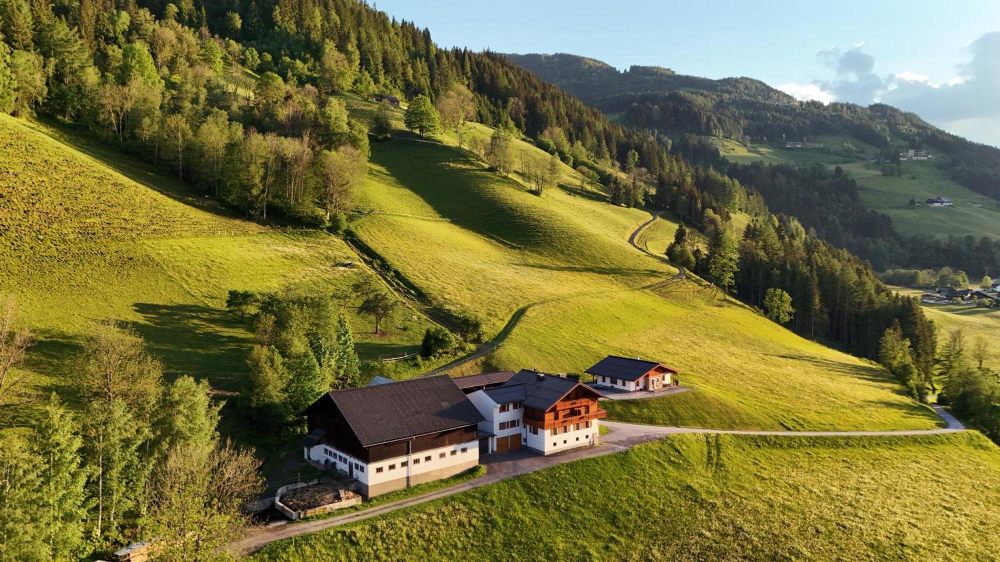 Apartments Frechhof Schladming Eksteriør bilde